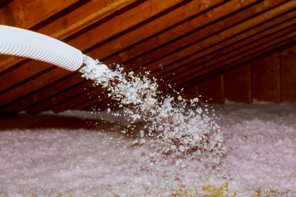 Best Fiberglass Insulation in Haines City, FL