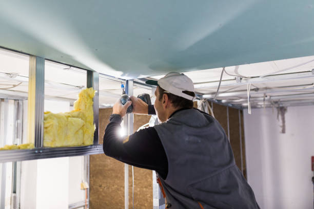 Best Specialized Insulation Services in Haines City, FL