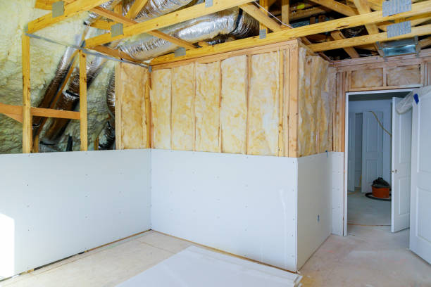 Best Cellulose Insulation in Haines City, FL