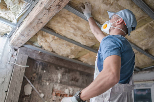 Types of Insulation We Offer in Haines City, FL