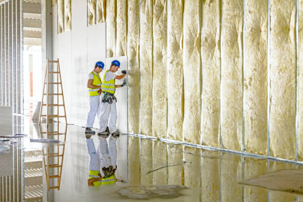Best Geographic-Specific Insulation Services in Haines City, FL
